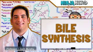 Gastrointestinal  Bile Synthesis [upl. by Orel]