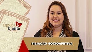 Explica Direito Filiação Socioafetiva  2019 [upl. by Llirrehs]