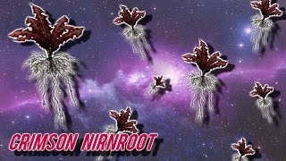 Skyrim All Crimson Nirnroot Location Guide [upl. by Arual]