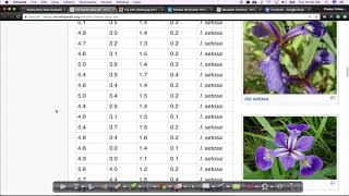 Iris Dataset EDA Lecture1 Applied AI Course [upl. by Einnej]