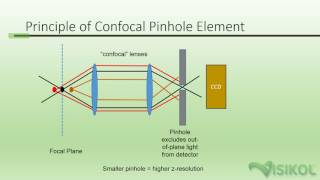 Confocal Microscopy Tutorial [upl. by Hoffarth902]