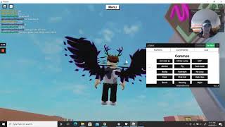 HOW TO FLY IN ANY ROBLOX GAME WORKING MAY 2023 [upl. by Novehc]