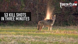 53 Kill Shots In 3 Minutes  Coyote Hunting [upl. by Ingold424]