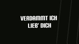 MIKE SINGER  VERDAMMT ICH LIEB DICH LYRICS VIDEO [upl. by Brightman746]