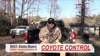 Coyote Hunting Tip 19  How To Hunt Coyotes In Woods [upl. by Ainesy]