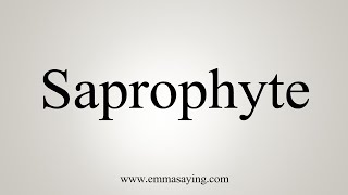 How To Say Saprophyte [upl. by Olaf]