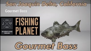 Gourmet Bass  San Joaquin Delta California  Fishing Planet Guide [upl. by Vick]