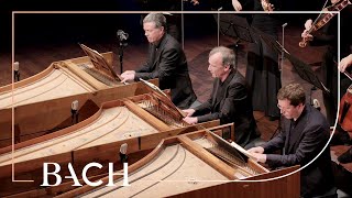 Bach  Concerto for three harpsichords in D minor BWV 1063  Mortensen  Netherlands Bach Society [upl. by Orimisac]