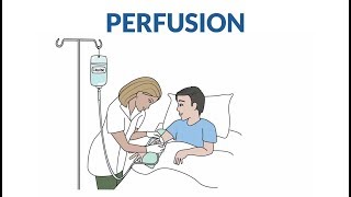 Comment se passe une perfusion [upl. by Niac]