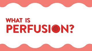 What Is Perfusion [upl. by Meuse]