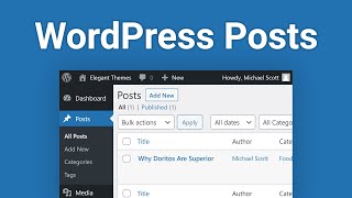 WordPress Posts How to Create and Manage Them [upl. by Thacker194]