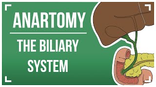 The Biliary System [upl. by Ron]