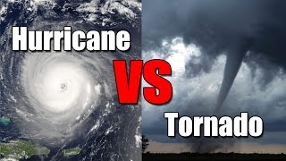 Hurricane vs Tornado Whats the difference [upl. by Bobine]