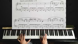 Habanera from quotCarmenquot by Bizet  Piano Tutorial [upl. by Kroy]