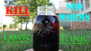 Kill Sod Webworms with Homemade Lawn Tonic [upl. by Dasya92]