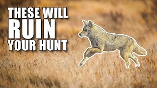 The WORST Coyote Hunting Mistakes [upl. by Anyahc]