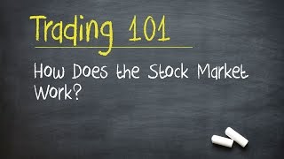 Trading 101 How Does the Stock Market Work [upl. by Swords]