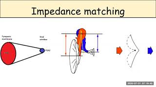 IMPEDANCE MATCHING [upl. by Ayres]