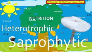 Autotrophic Heterotrophic and Saprophytic Nutrition  CSEC BIOLOGY TCP [upl. by Tortosa57]