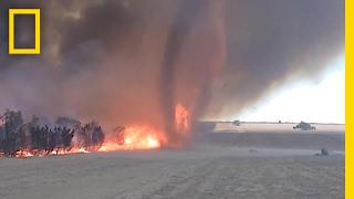 WATCH Fire Tornado Captured in Rare Video  National Geographic [upl. by Cirilla]