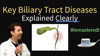 Key Biliary Tract  Cholestatic Diseases amp Labs Explained [upl. by Stoat432]