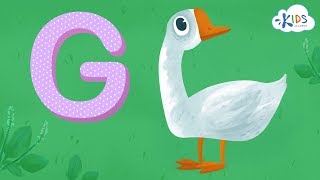 Learn the Letter G  Alphabet for Kids  Kids Academy [upl. by Dorina65]