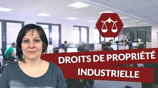 Les droits de propriété industrielle  Droit  digiSchool [upl. by Seagrave]