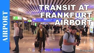 TRANSIT WALK AT FRANKFURT Airport FRA Terminal 1  Connection Flight Transfer Arriving amp Departing [upl. by Anitra]