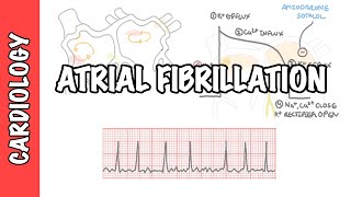 Heart Palpitations A simple exercise to help ectopic heart beats [upl. by Anidem608]