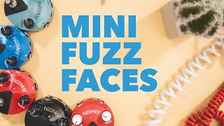 Why Dunlop Mini Fuzz Faces Are Awesome [upl. by Yeldnarb]